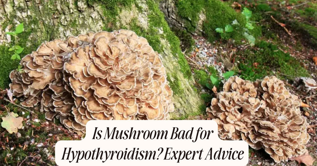 is mushroom bad for hypothyroidism