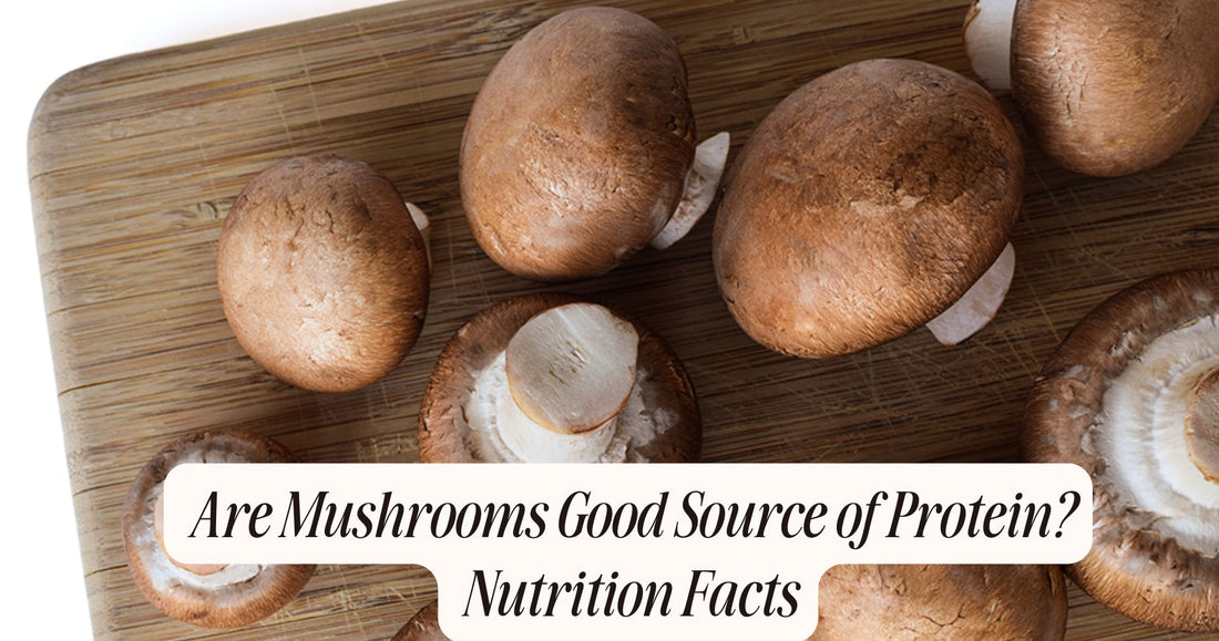 are mushrooms good source of protein