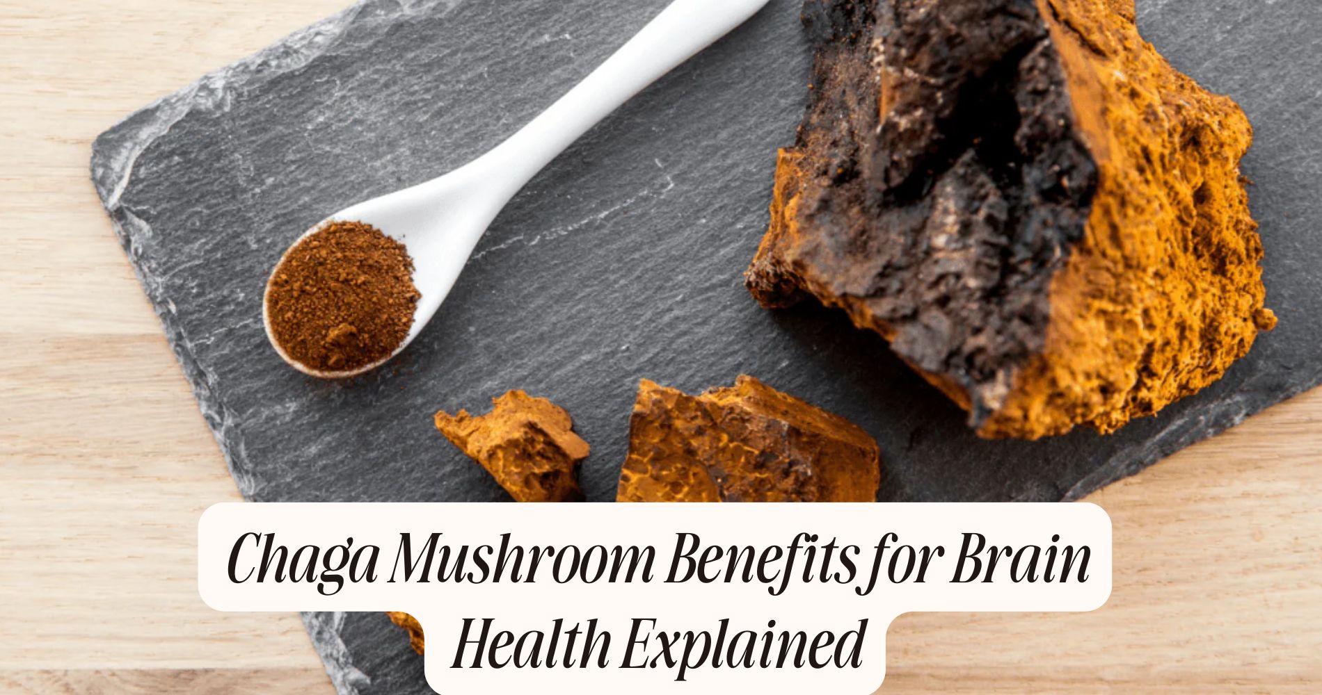 chaga mushroom benefits for brain