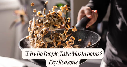 why do people take mushrooms