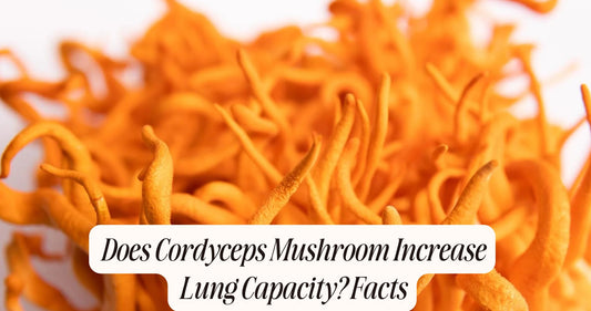 does cordyceps mushroom increase lung capacity