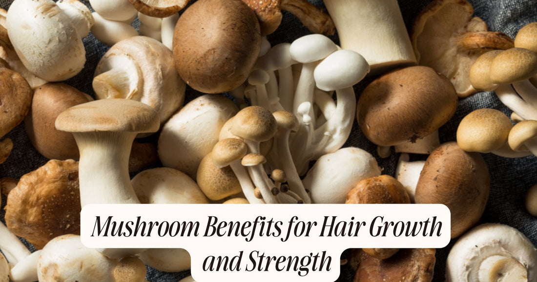 mushroom benefits for hair