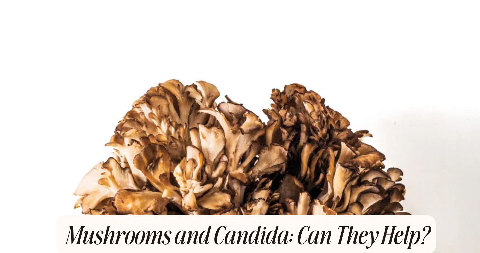 mushrooms and candida