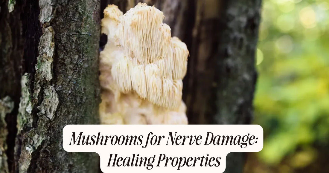 mushrooms for nerve damage