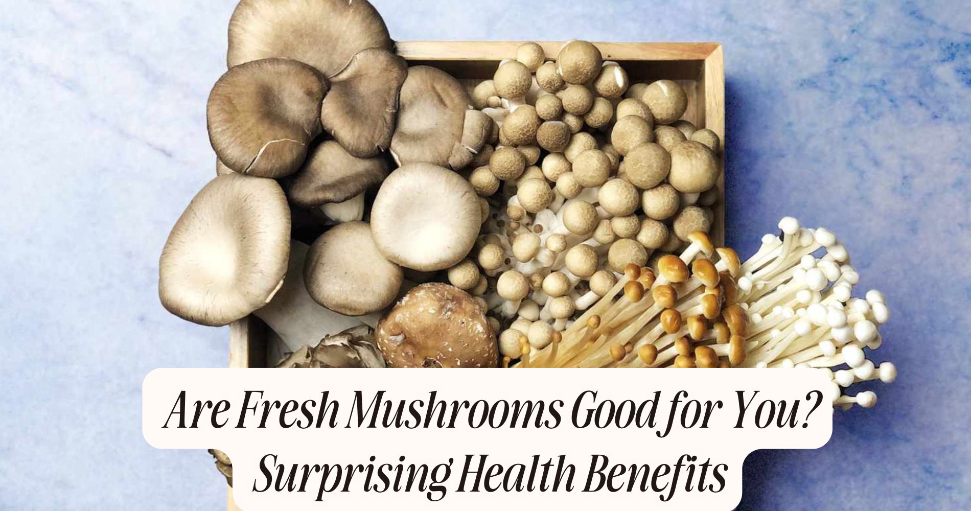 are fresh mushrooms good for you