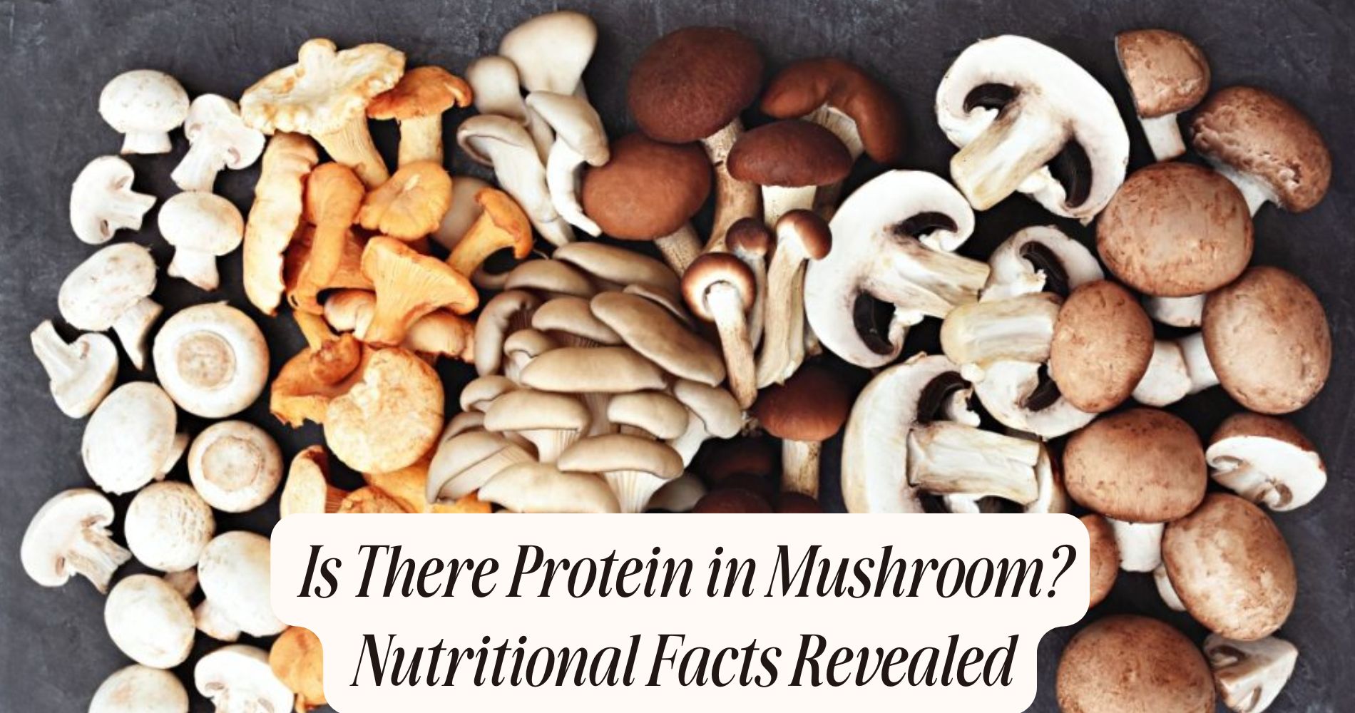is there protein in mushroom