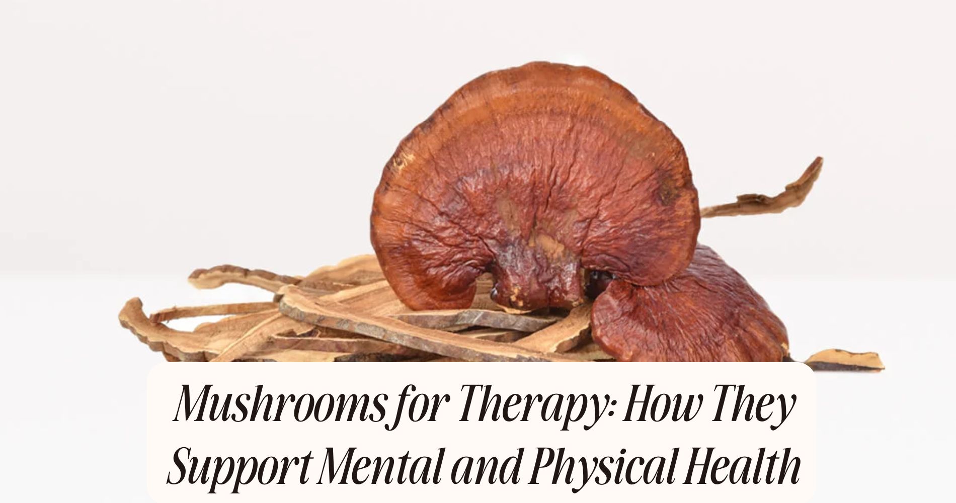 mushrooms for therapy