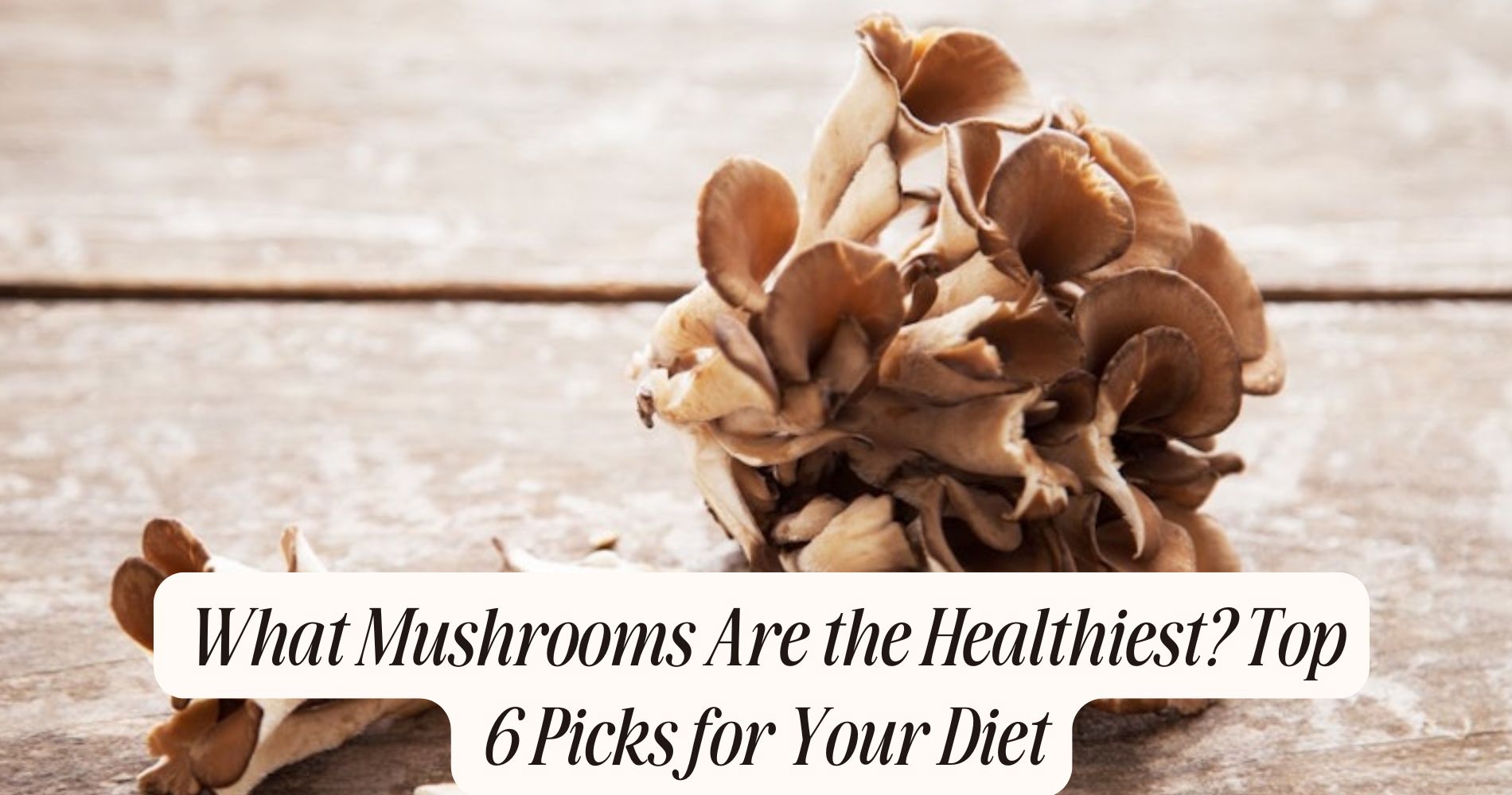 what mushrooms are the healthiest