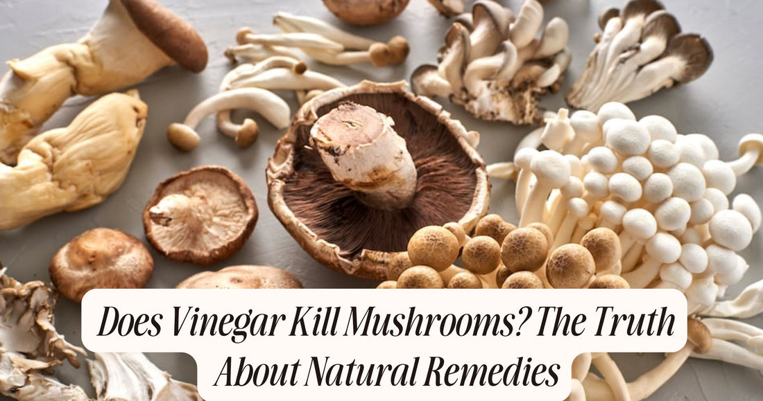 does vinegar kill mushrooms
