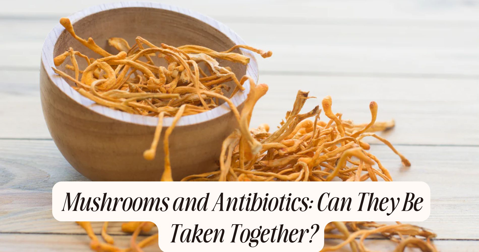 mushrooms and antibiotics