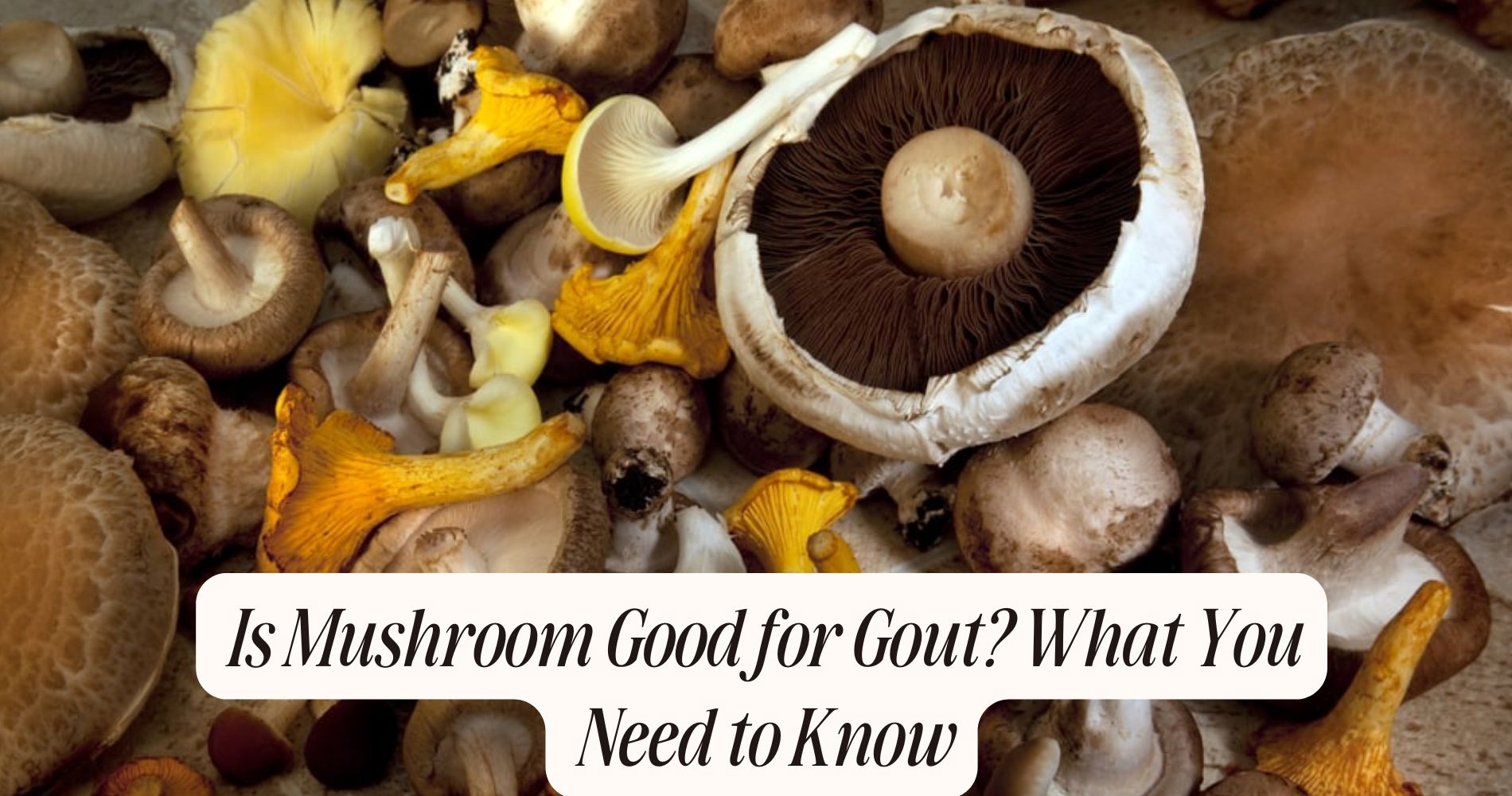is mushroom good for gout