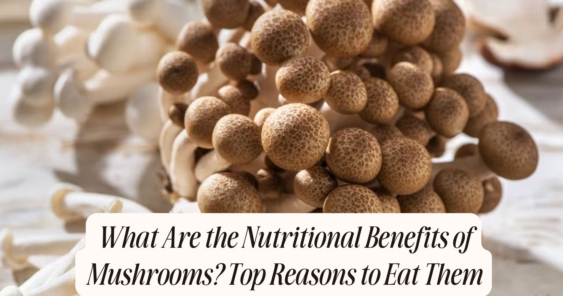 what are the nutritional benefits of mushrooms
