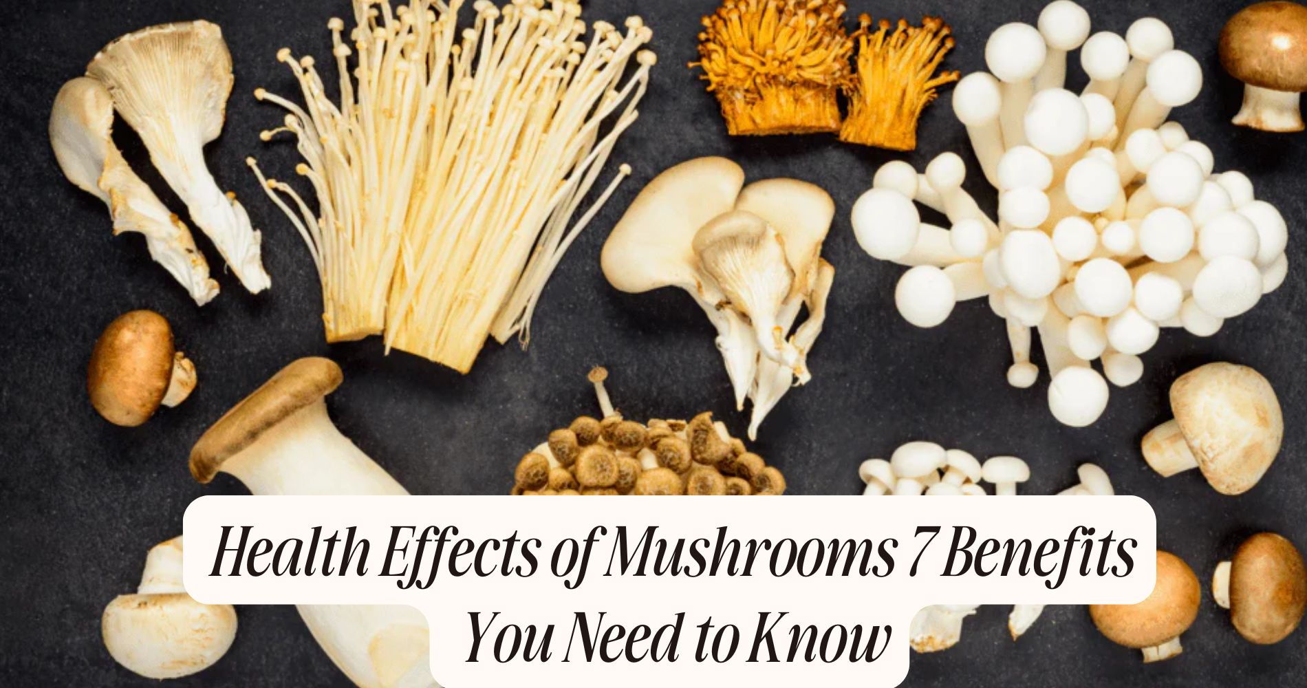 health effects of mushrooms