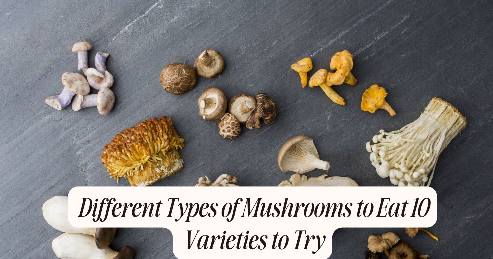 different types of mushrooms to eat