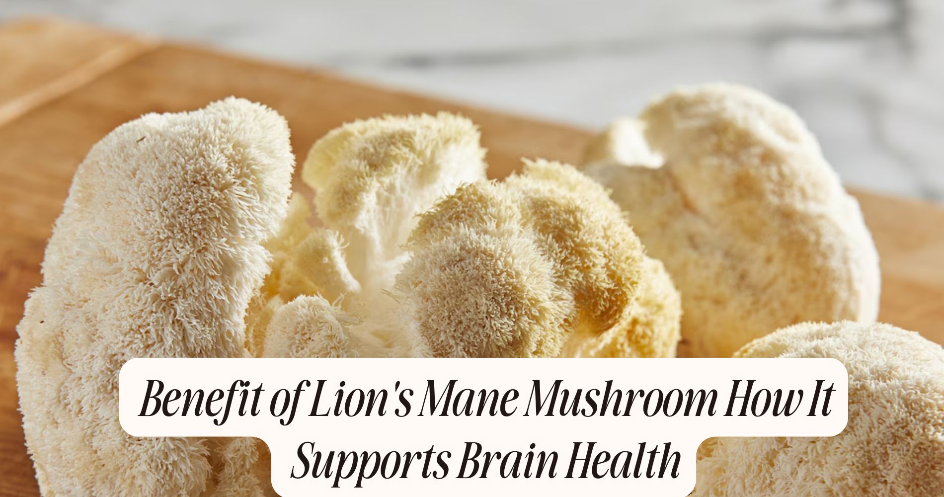 benefit of lion's mane mushroom