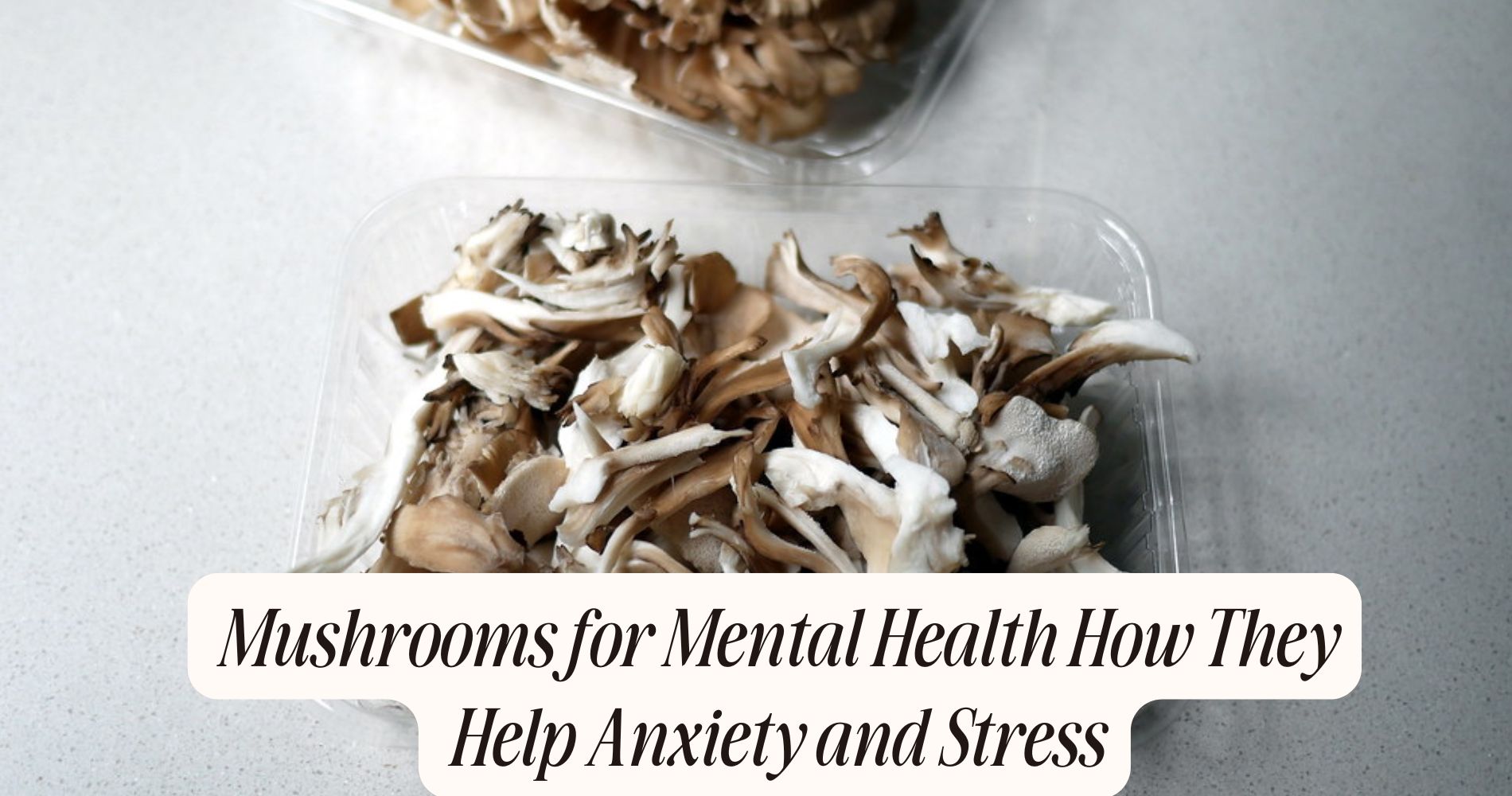mushrooms for mental health