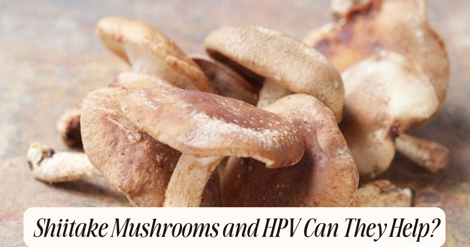 shiitake mushrooms and hpv
