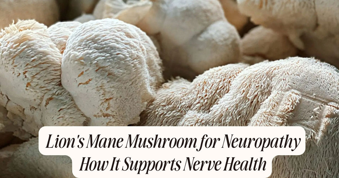 lion's mane mushroom for neuropathy