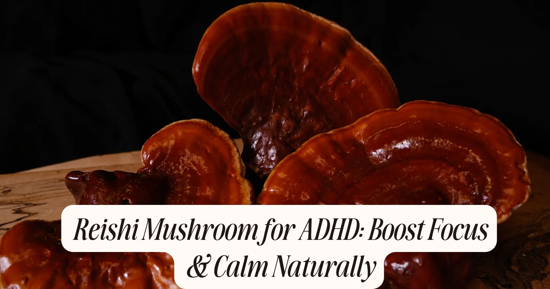 reishi mushroom for adhd