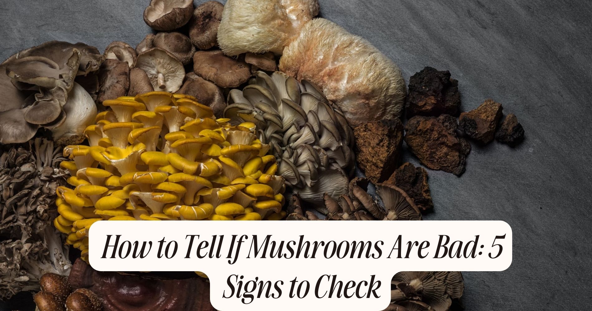 how to tell if mushrooms are bad