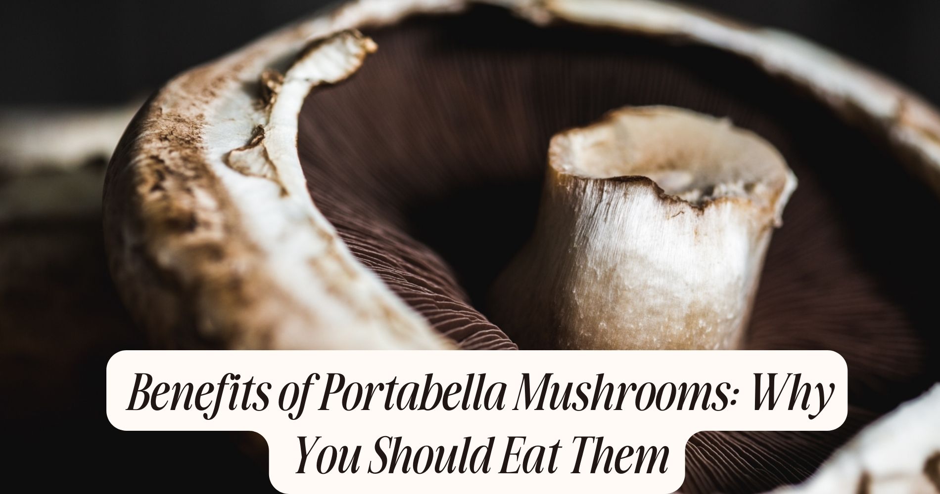 benefits of portabella mushrooms