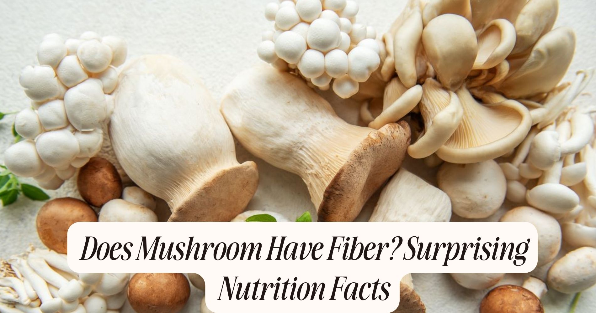 does mushroom have fiber
