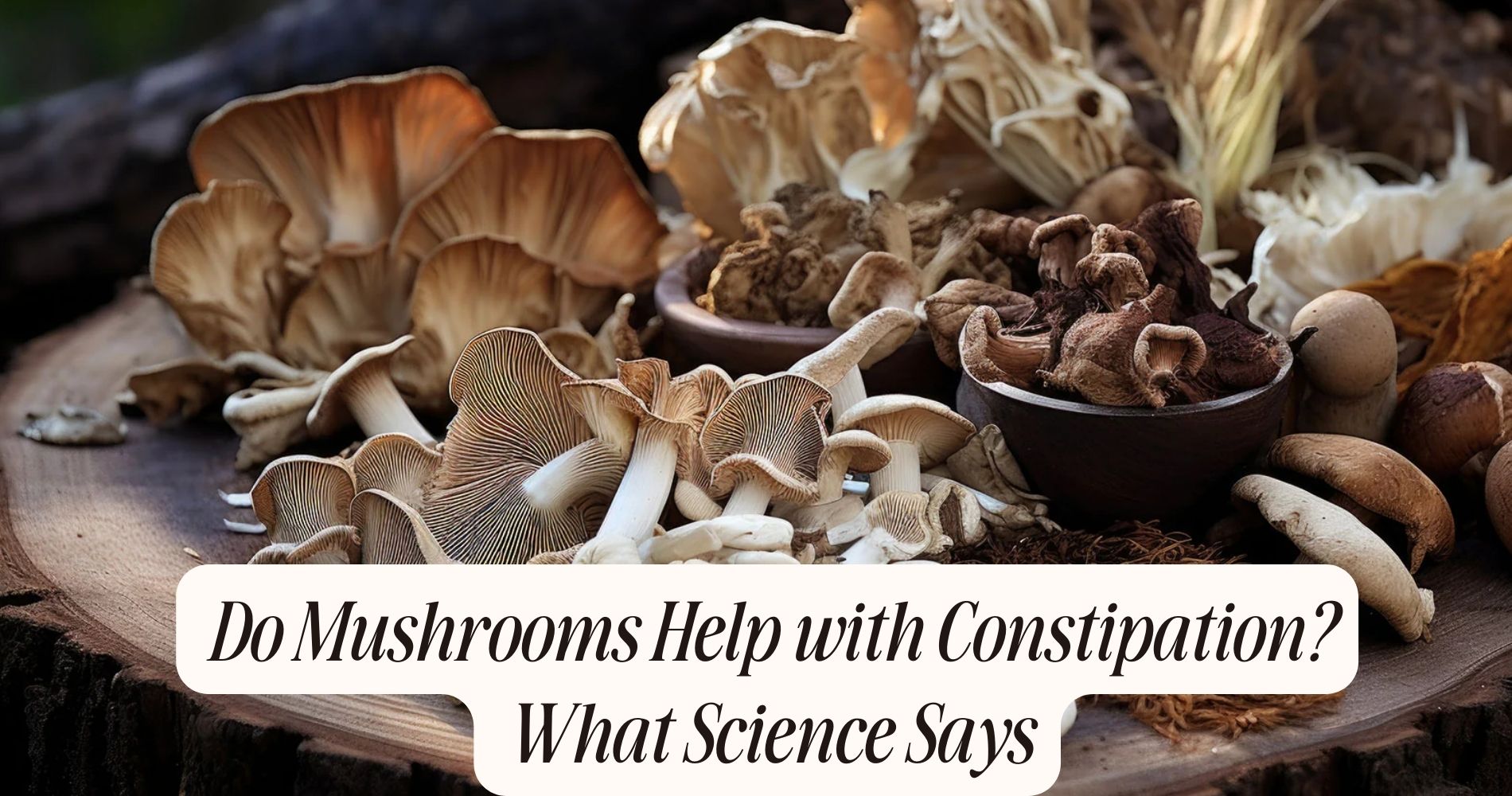 does mushrooms help with constipation