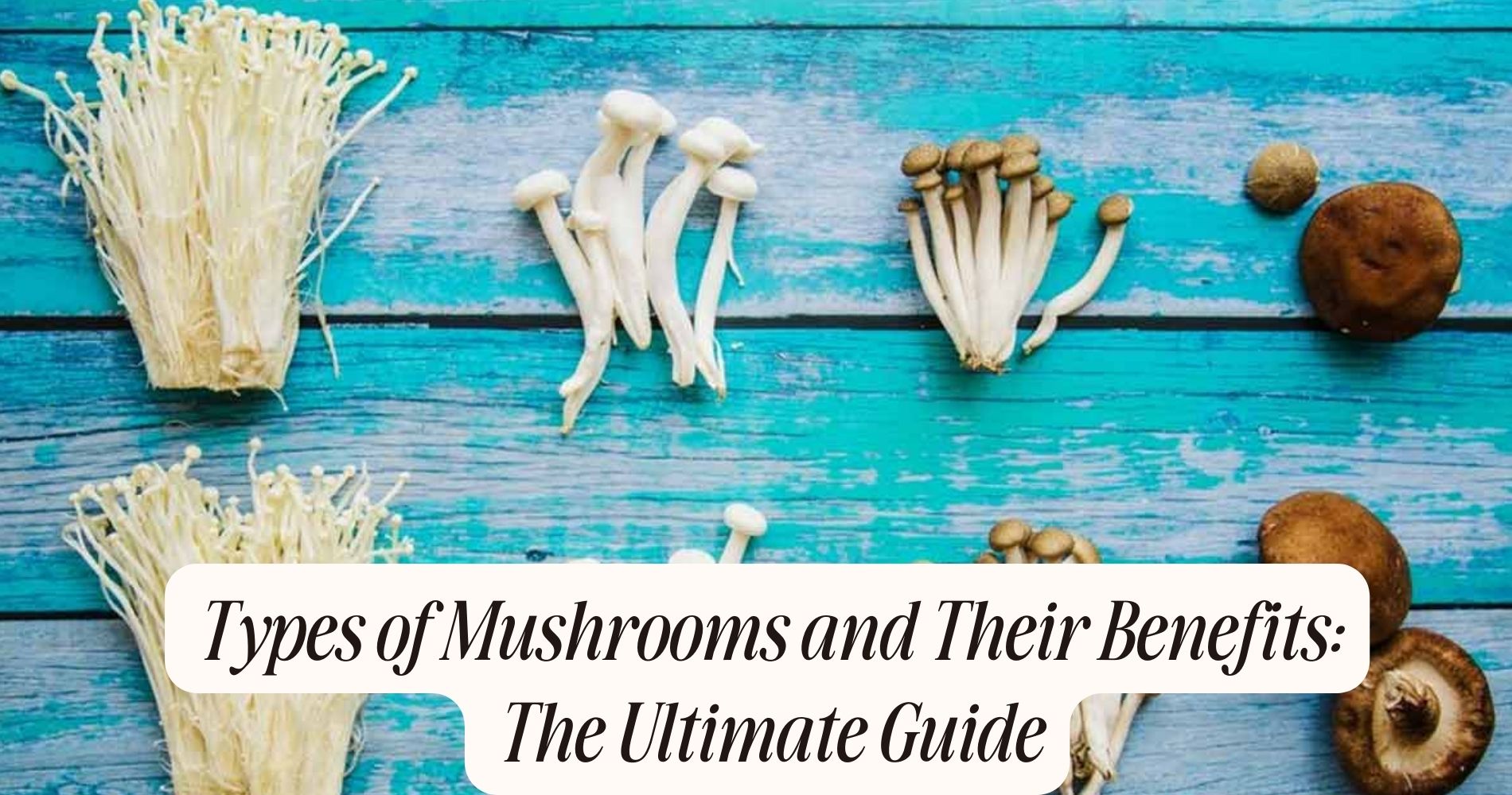 types of mushrooms and their benefits