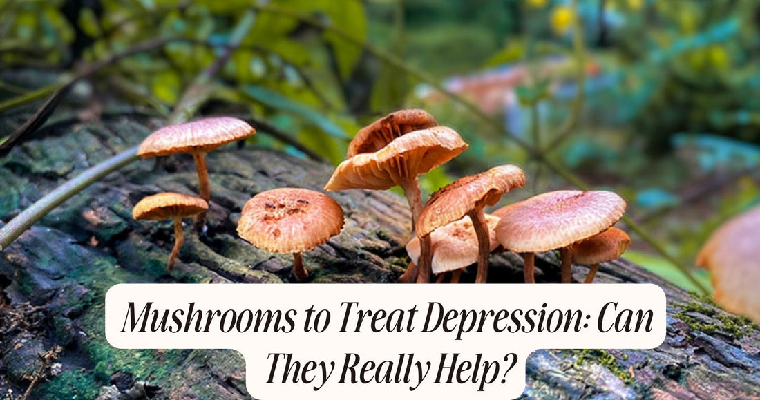 mushrooms to treat depression