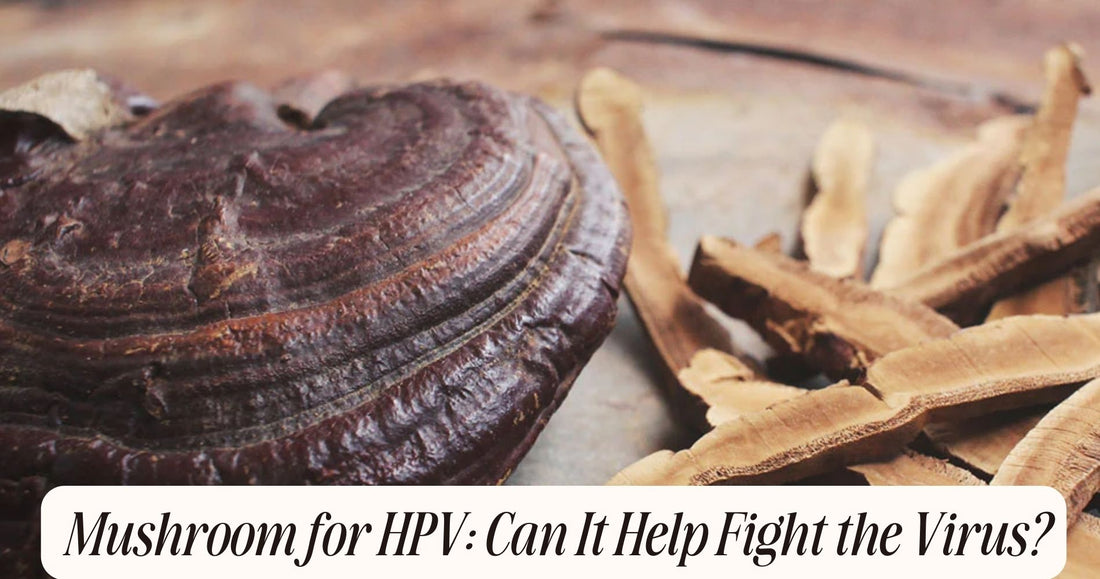 mushroom for hpv