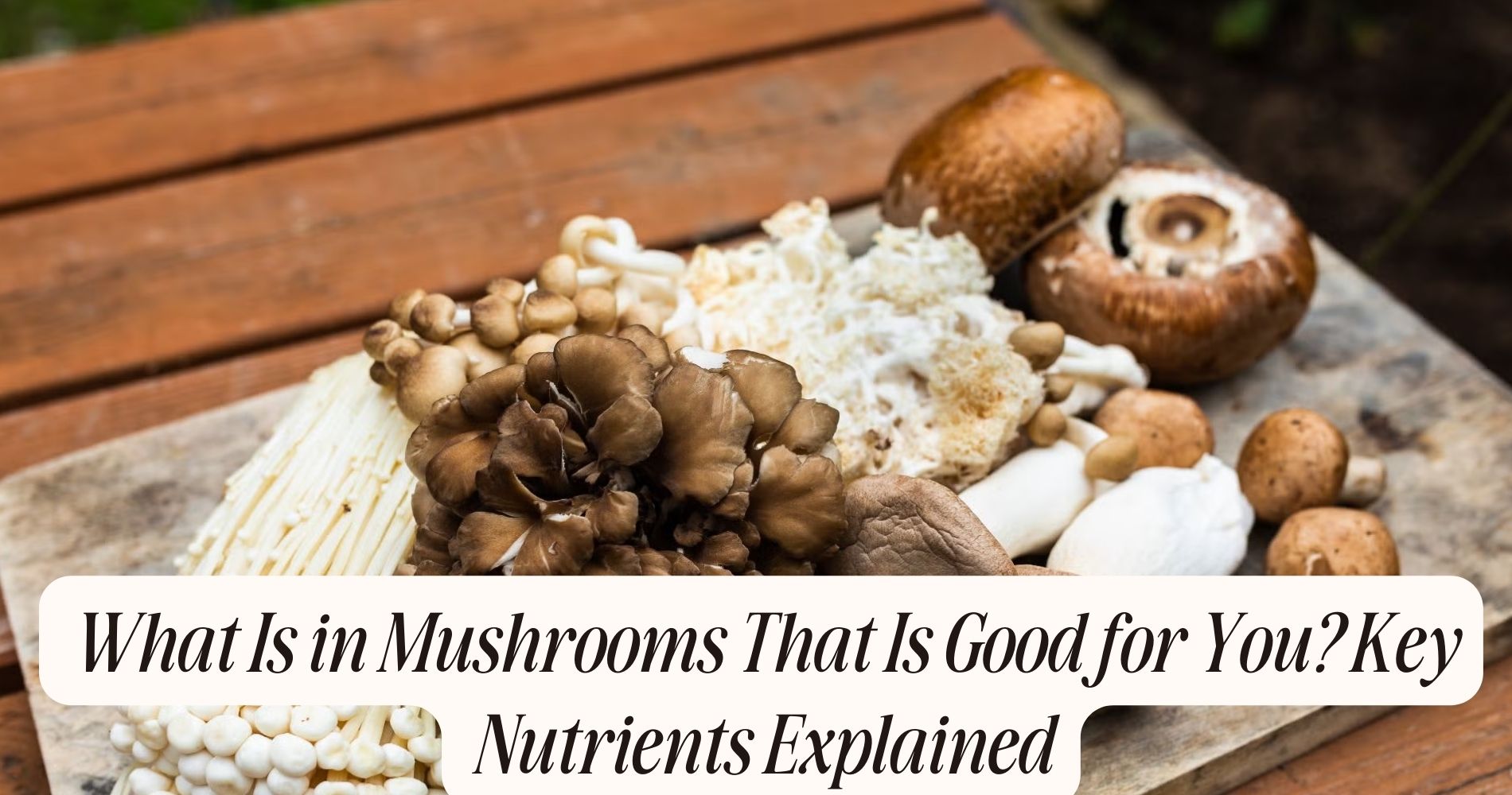 what is in mushrooms that is good for you