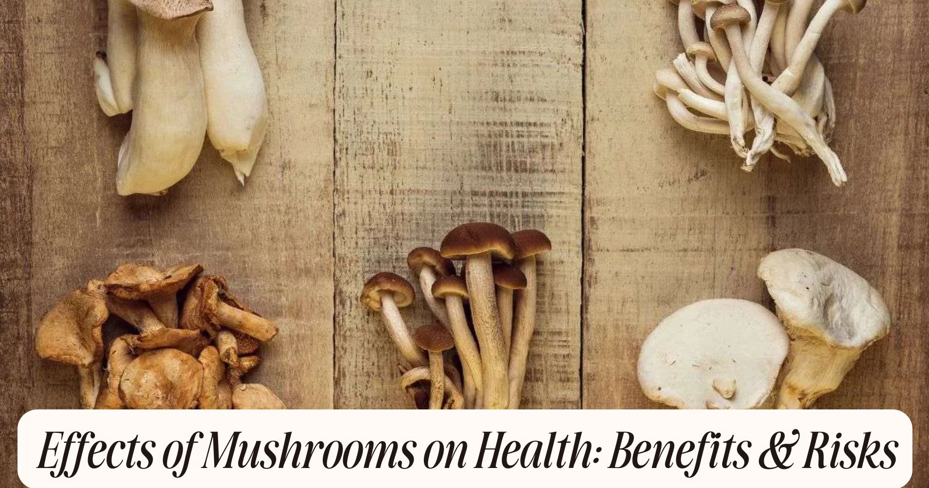 Effects of Mushrooms on Health: Benefits & Risks