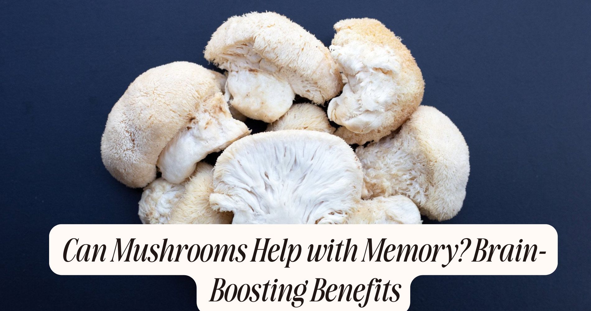 can mushrooms help with memory