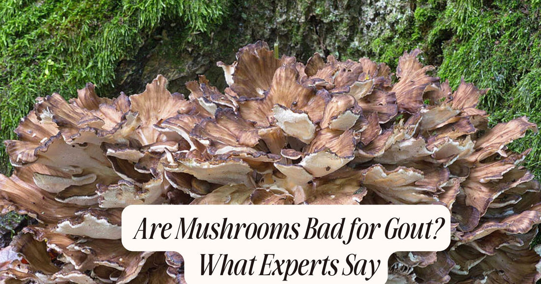 are mushrooms bad for gout