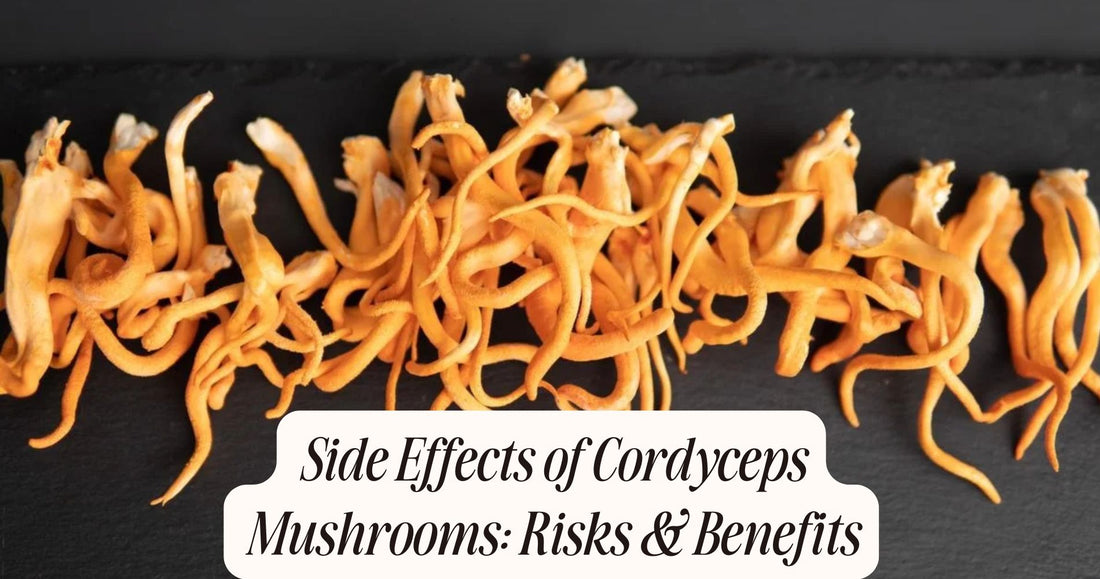 side effects of cordyceps mushrooms
