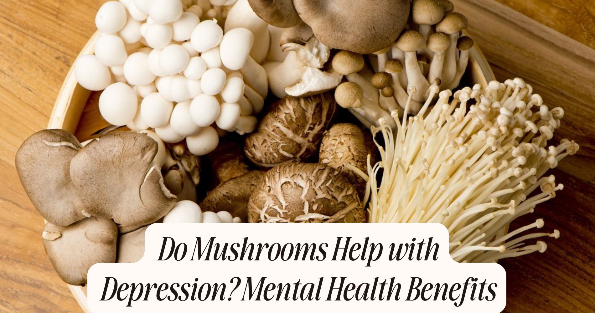 do mushrooms help with depression