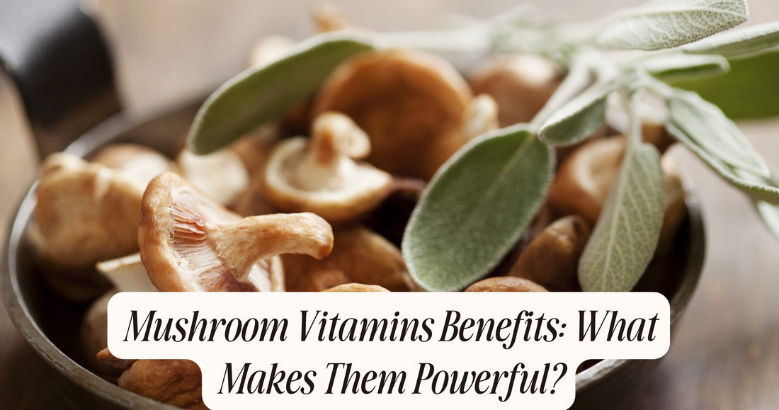 mushroom vitamins benefits