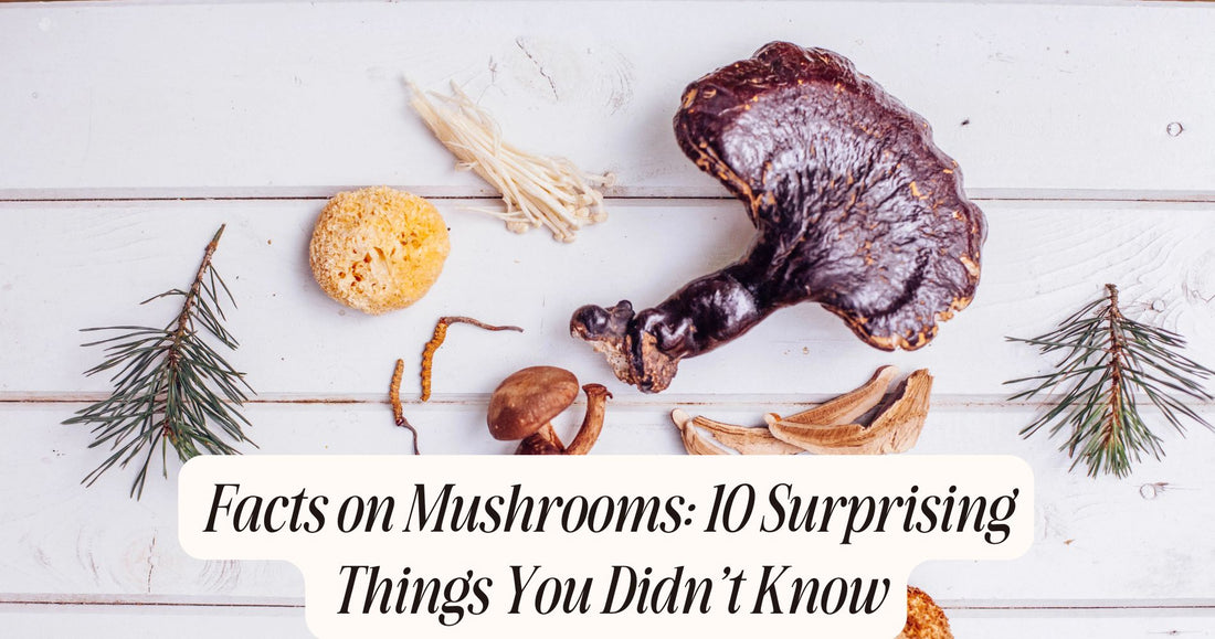 facts on mushrooms