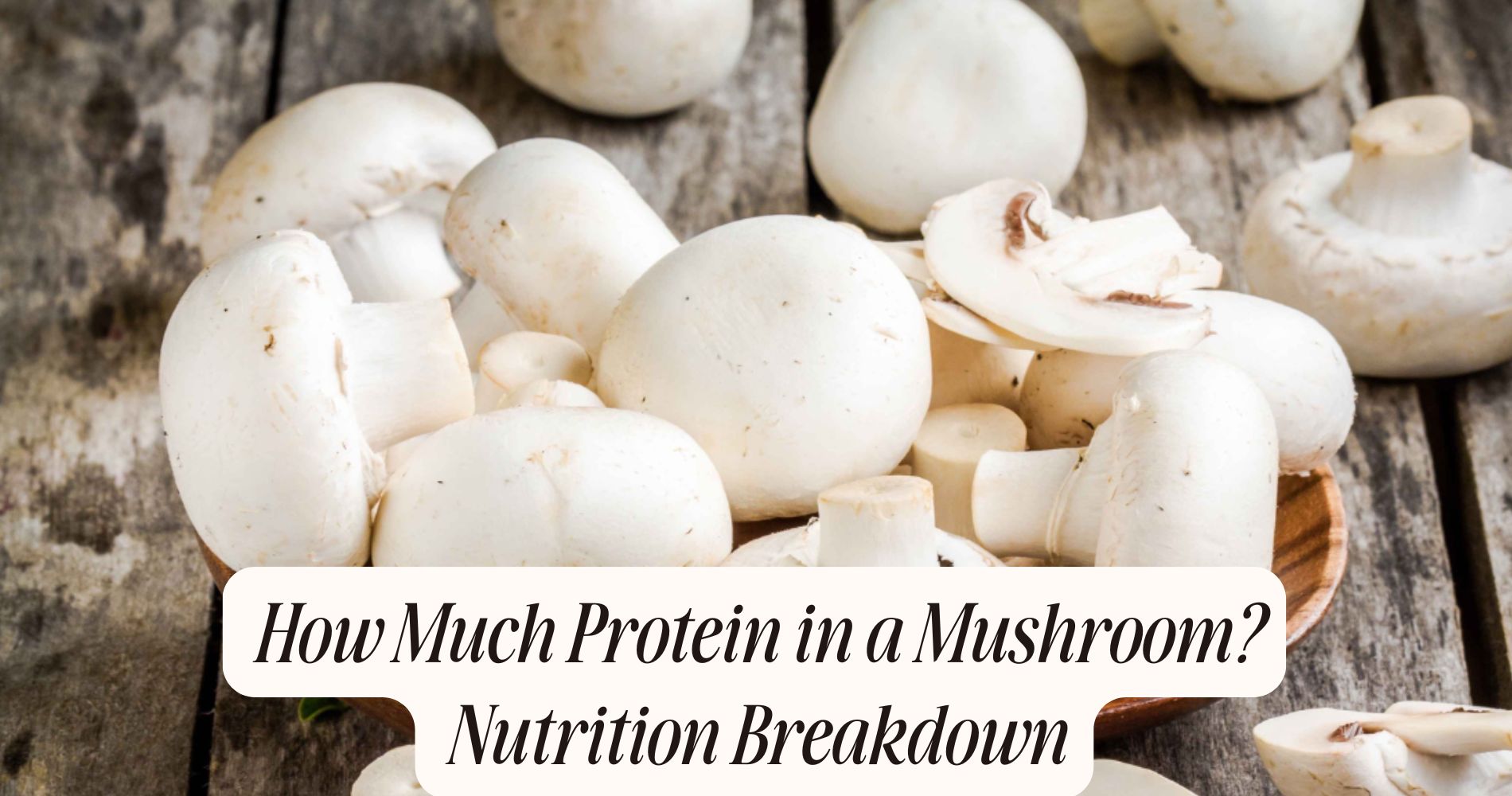 how much protein in a mushroom