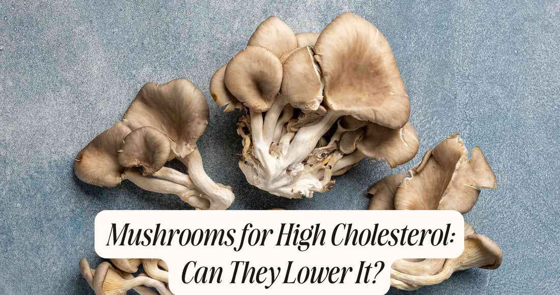 mushrooms for high cholesterol
