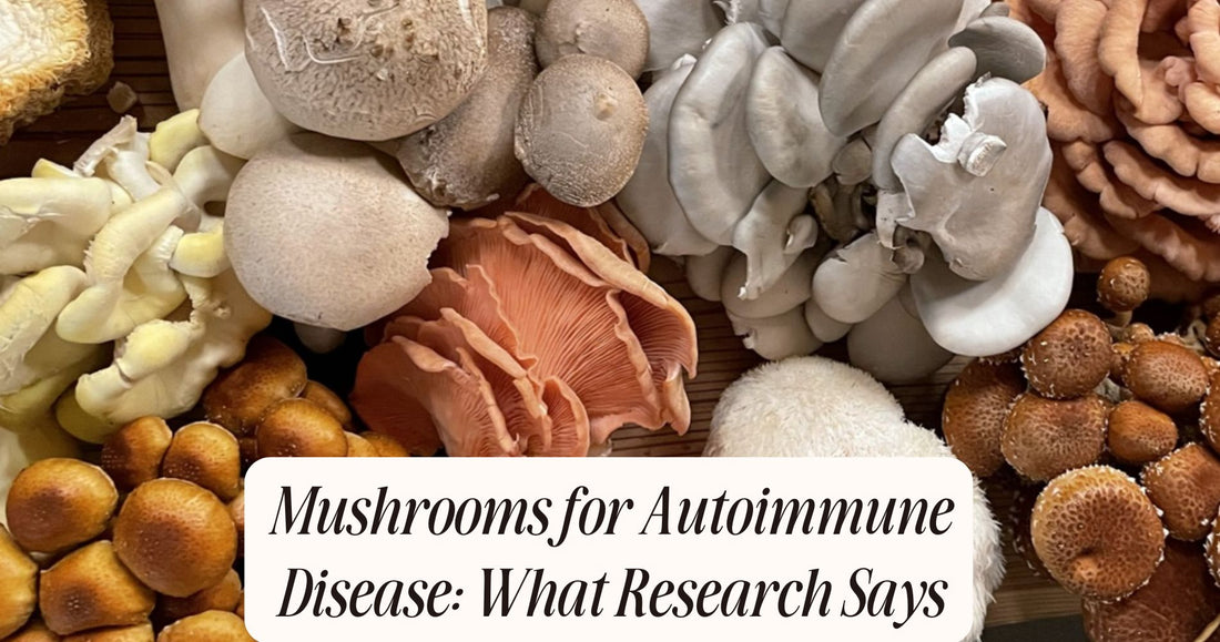 mushrooms for autoimmune disease