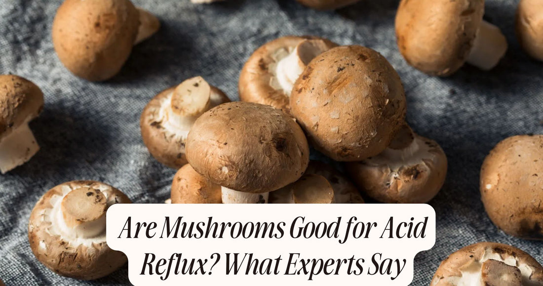 are mushrooms good for acid reflux
