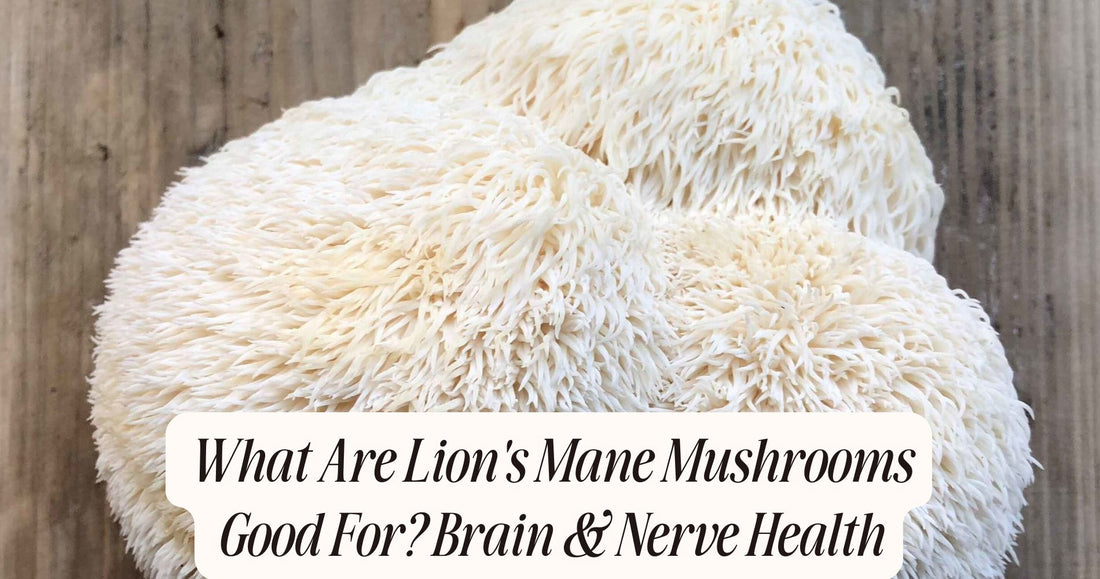 what are lion's mane mushrooms good for