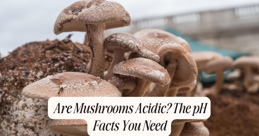 are mushrooms acidic