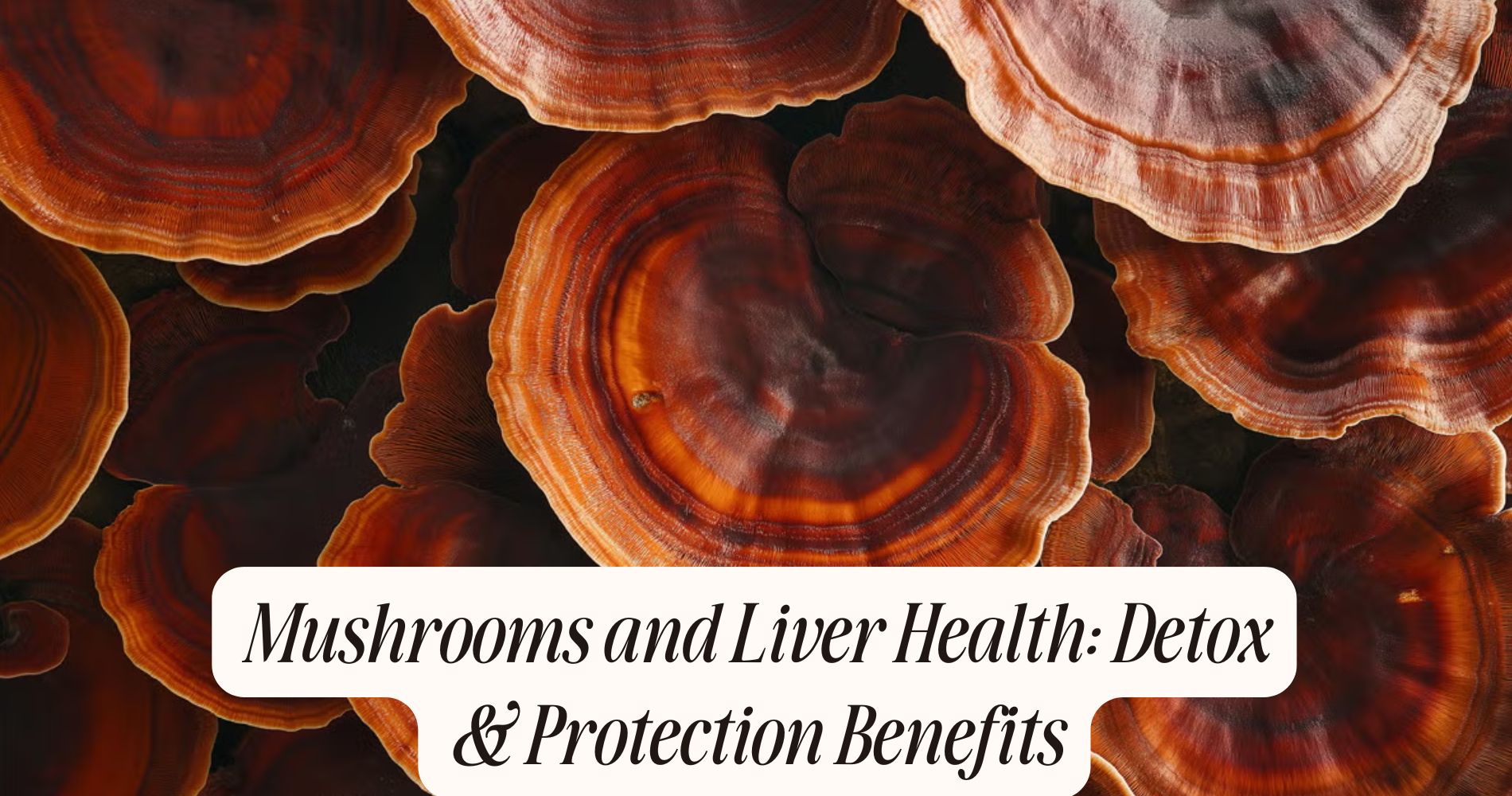 mushrooms and liver health