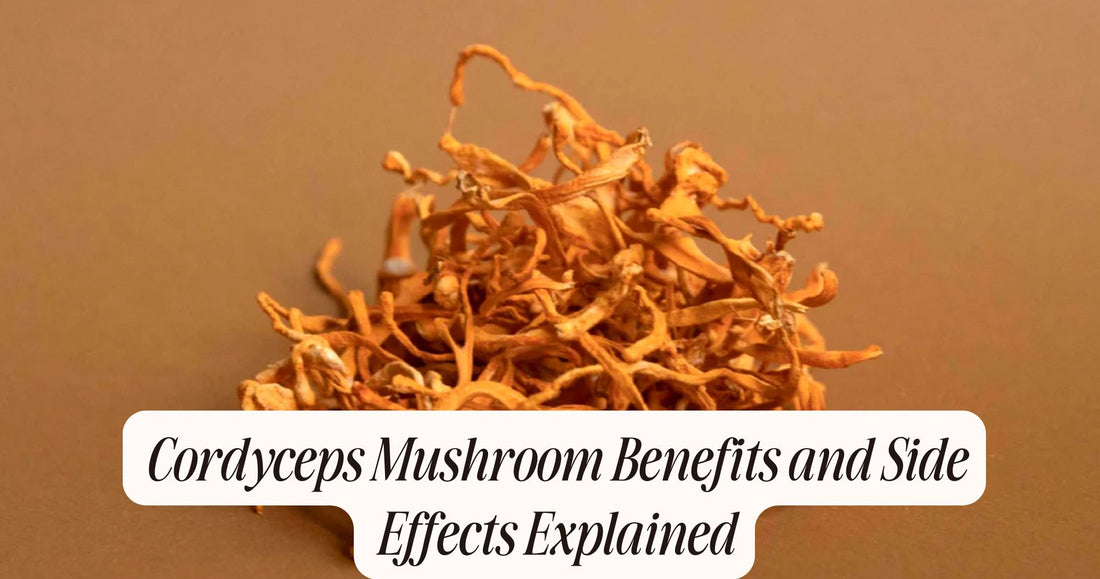 cordyceps mushroom benefits and side effects