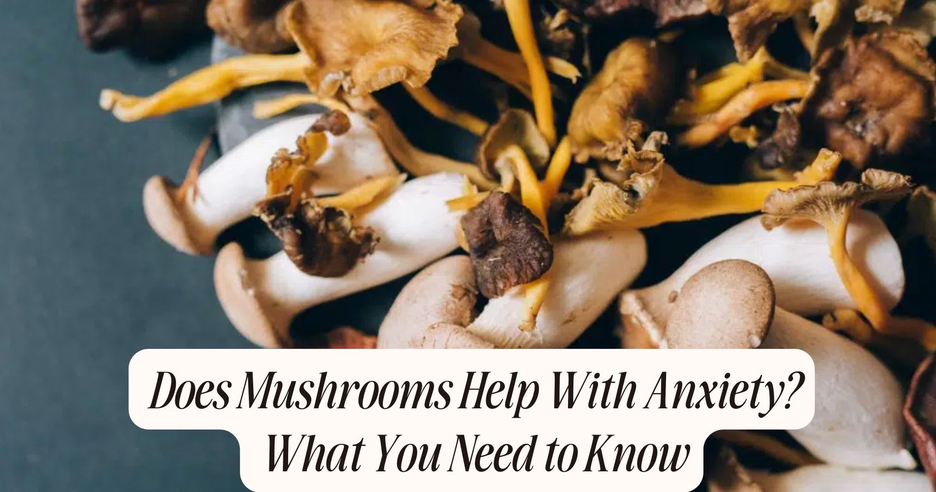 does mushrooms help with anxiety