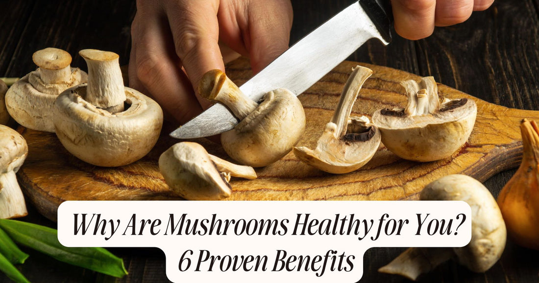 Why Are Mushrooms Healthy for You? 6 Proven Benefits