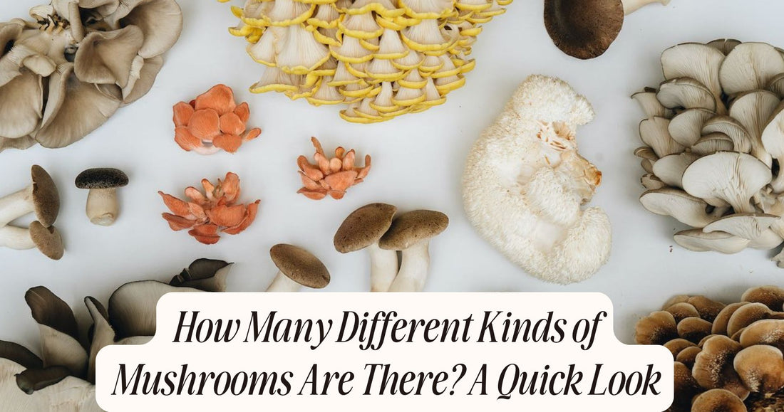 how many different kinds of mushrooms are there