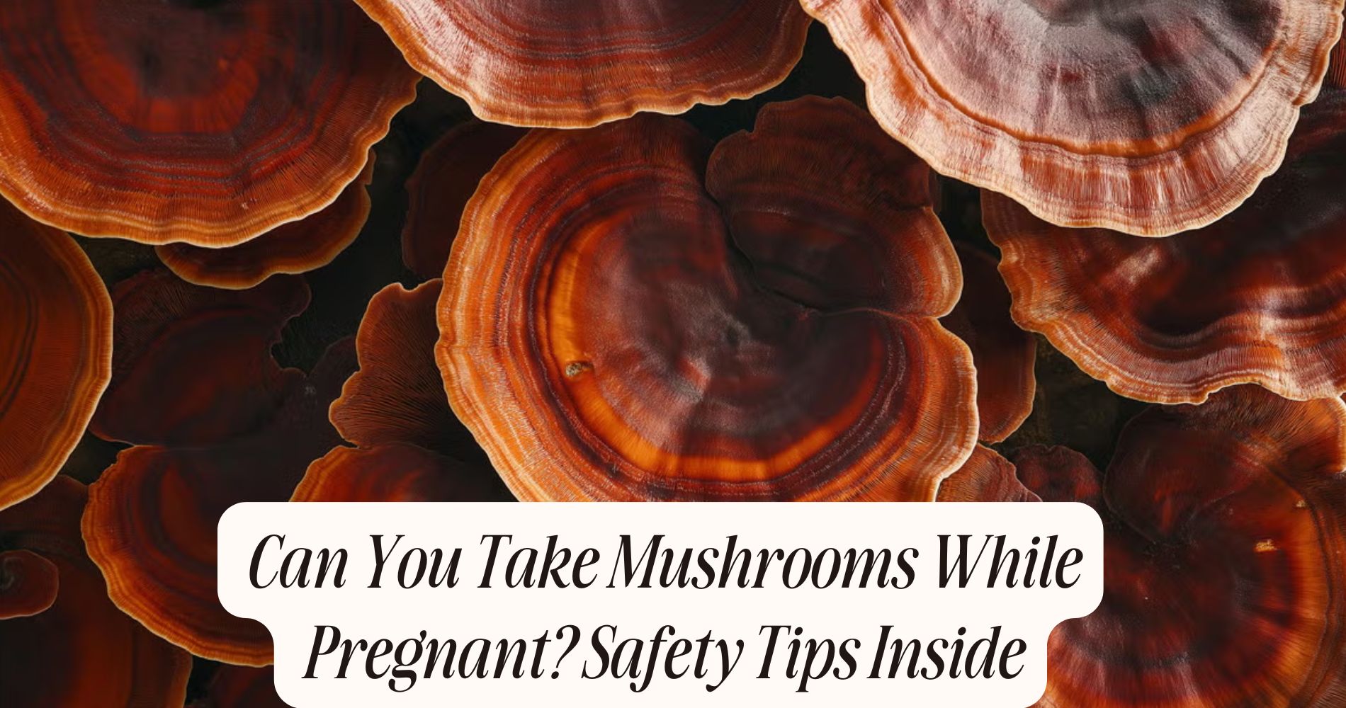 can you take mushrooms while pregnant